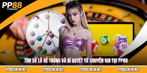 Tìm số lô dễ trúng và bí quyết từ chuyên gia tại PP88